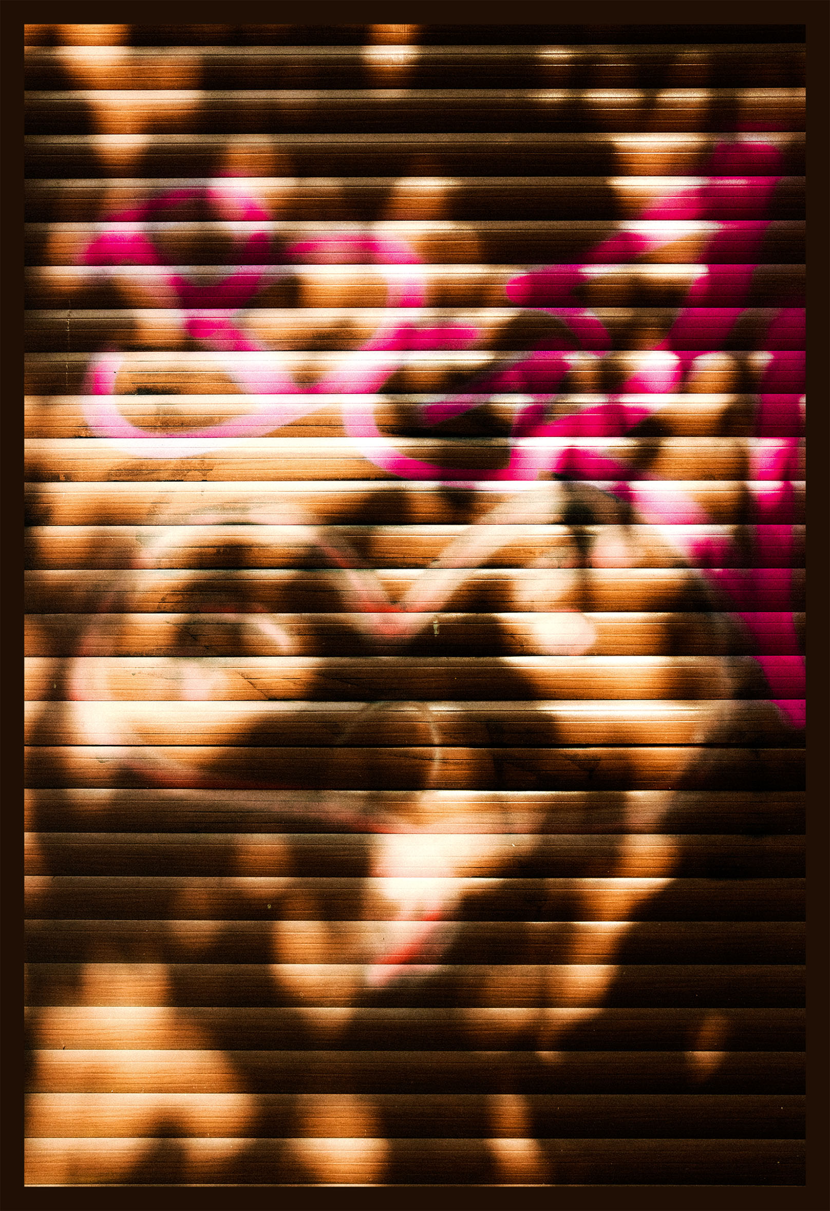 Photographie