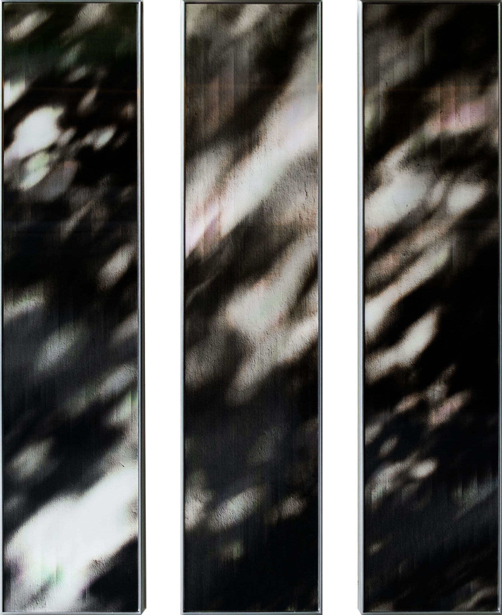 Photographie