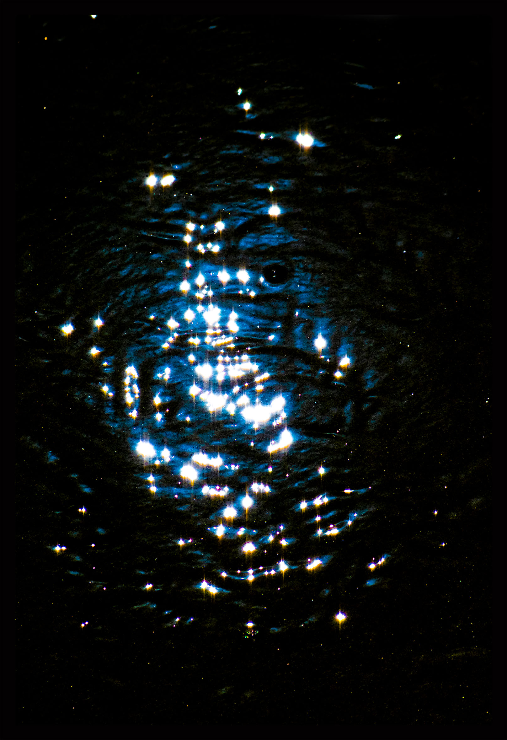 Photographie
