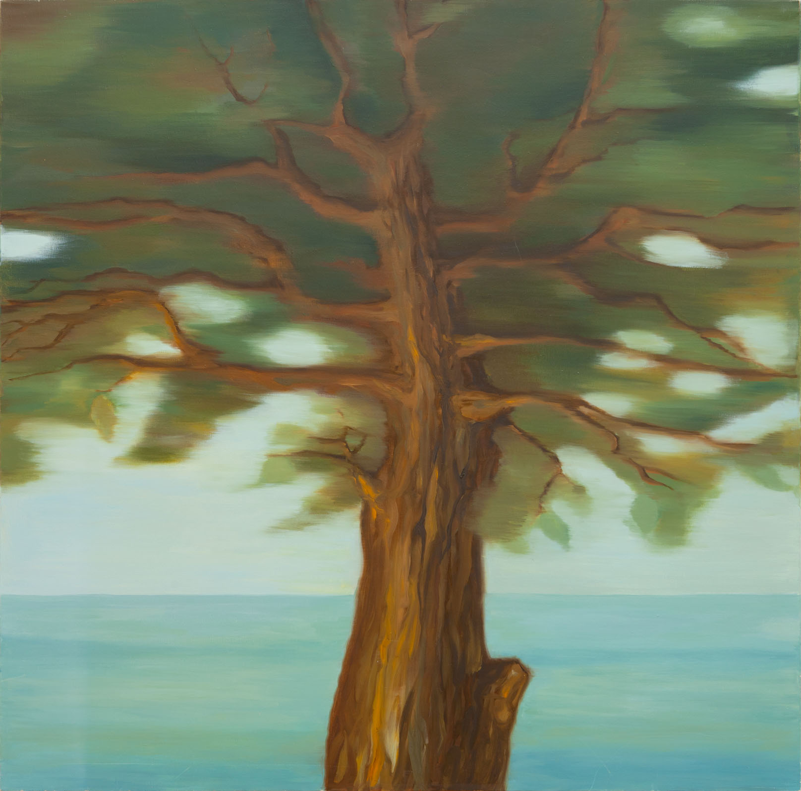 Tableau